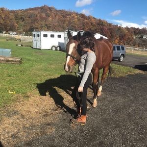 Meet your Posher, Molly